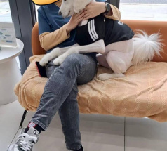 Оскар - собака в клубе «Звёздный Пёс»