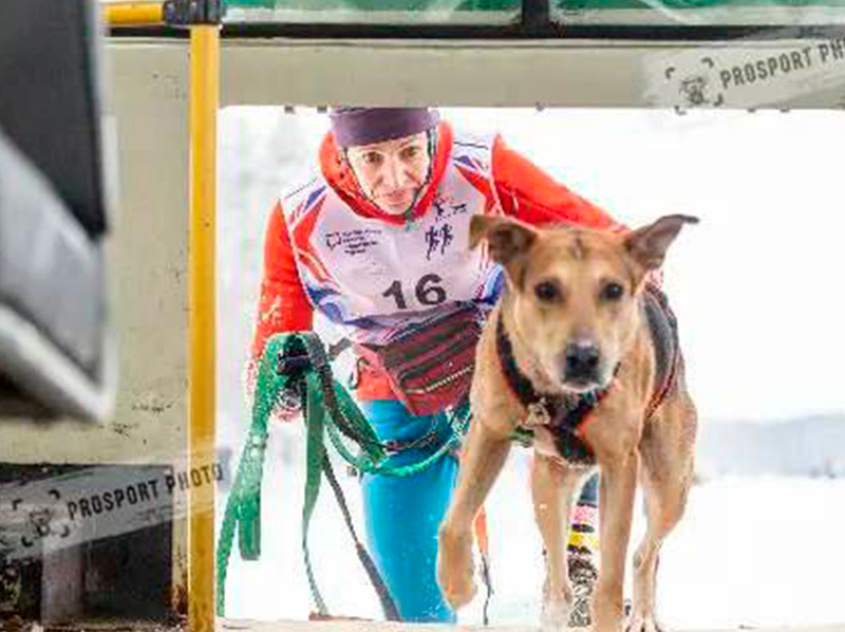 Робинзон - собака в клубе «Звёздный Пёс»