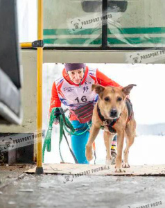 Робинзон - собака в клубе «Звёздный Пёс»