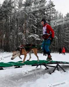 Робинзон - собака в клубе «Звёздный Пёс»