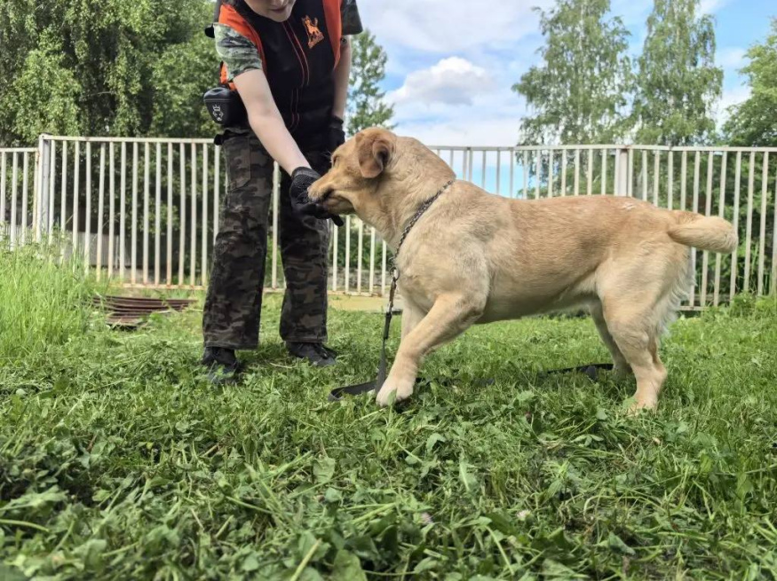 Лёля - собака в клубе «Звёздный Пёс»