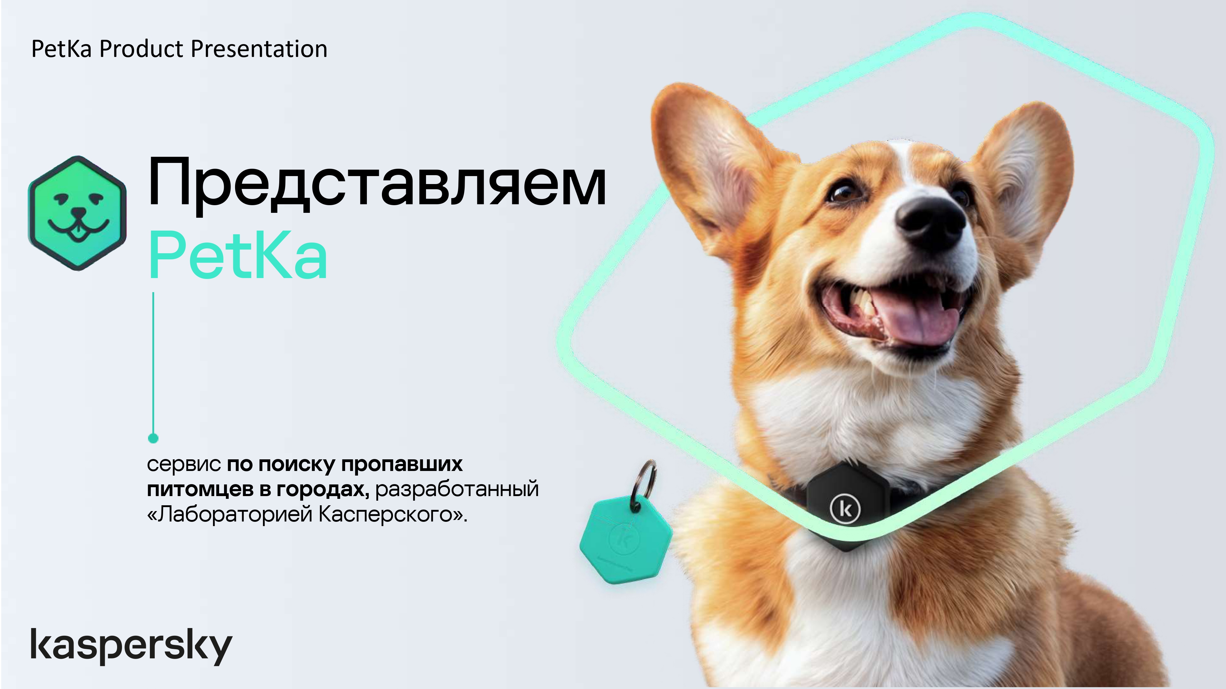 PetKa — первый слайд презентации