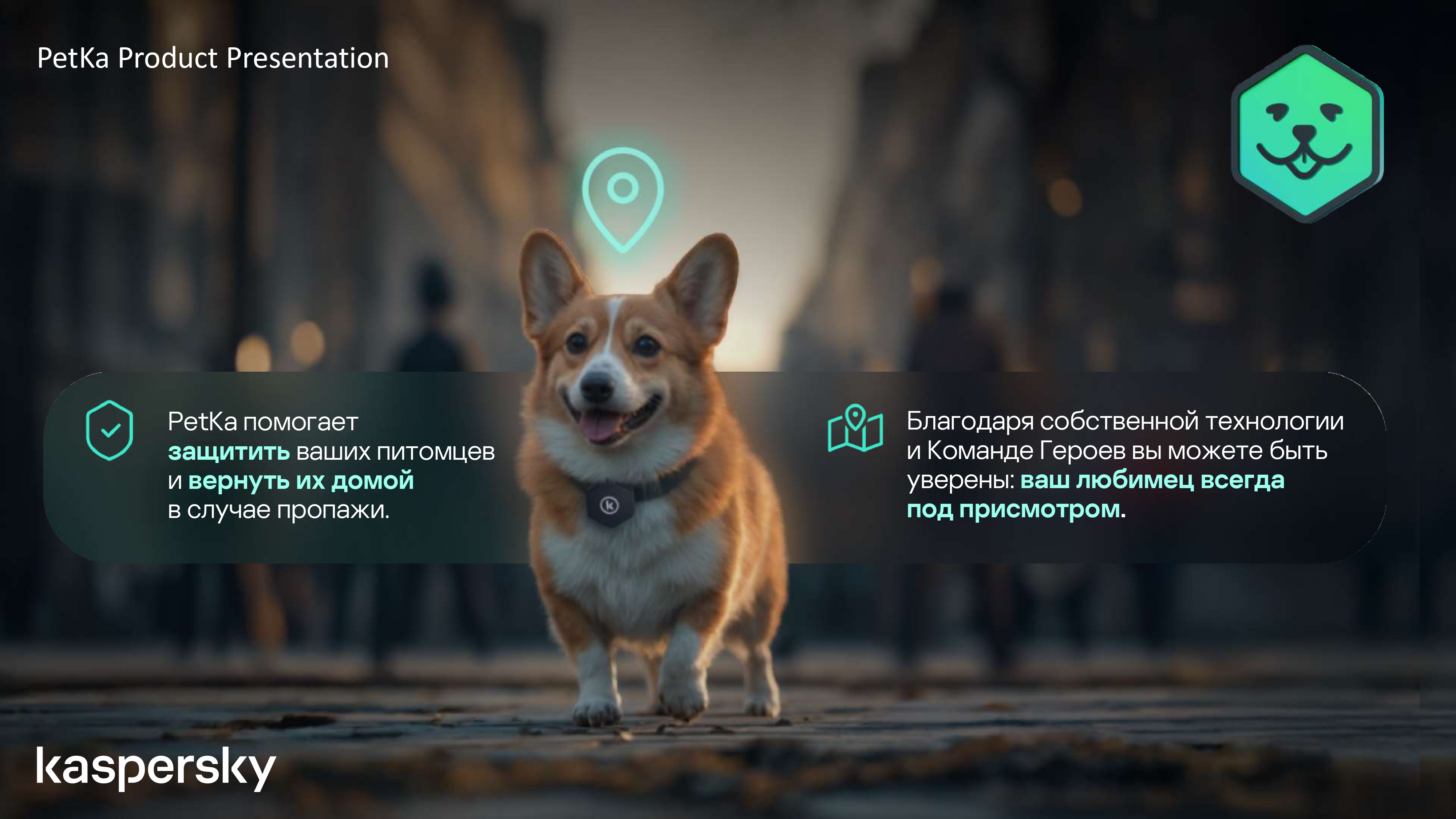 PetKa — второй слайд презентации