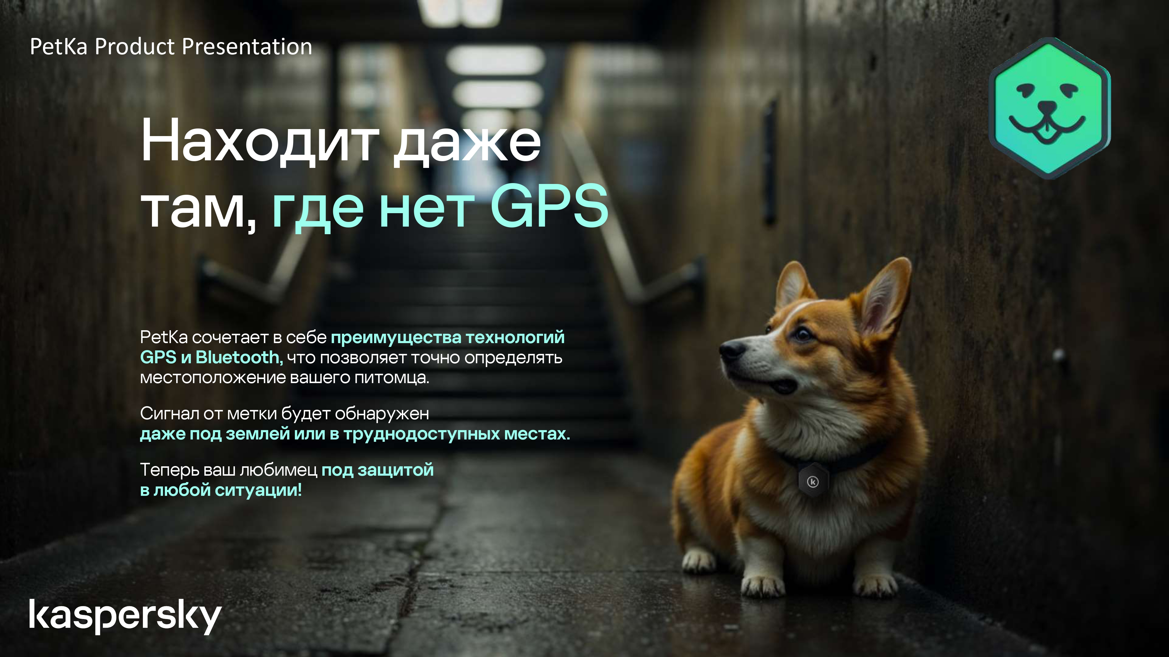 PetKa — пятый слайд презентации